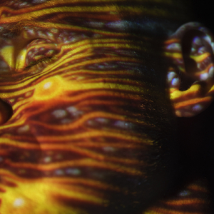 精品伊人久久大香线蕉网站
