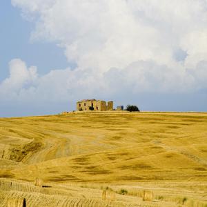 精品伊人久久大香线蕉网站
