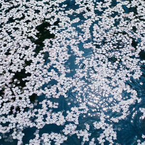 精品伊人久久大香线蕉网站
